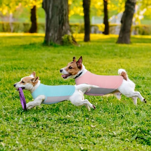 Kuoser Cooling Dog Shirt, Sun Protection Puppy T-Shirts Breathable Pet Summer Vest, Quick Dry Dog Summer Clothes for Large Dogs Boy Girl Blue XXXL - color: Blue, size: XXXL