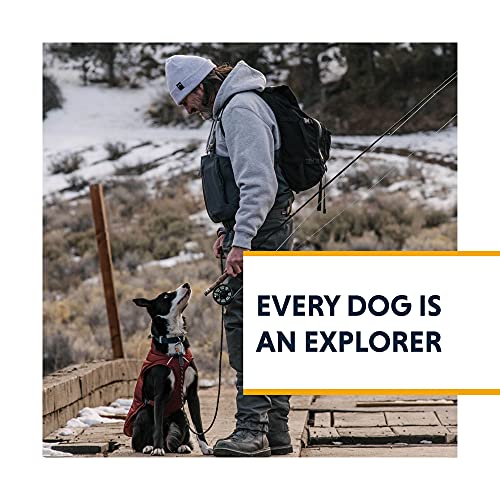 Ruffwear, Confluence Dog Collar, Waterproof Heavy Duty Quick Release Buckle, Odor-Resistant Easy Clean Adjustable TPU Webbing with & Silent ID Attachment, Midnight Blue, 20"-26" - color: Midnight Blue, size: 20"-26"