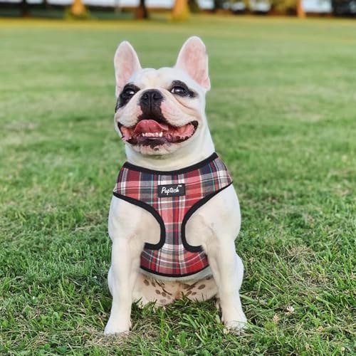PUPTECK Soft Mesh Dog Harness and Leash Set Pet Puppy Cat Comfort Padded Vest No Pull Harnesses, Red Mixed, XS - color: Red Mixed, size: XS (NECK: 10", CHEST: 10"-14")