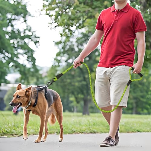 Mile High Life Comfortable Padded Handle Dog Leash - Mountain Climbing Rope Leash, Heavy Duty 4 Feet (Black Lime Green) - color: Climbing Rope - Lime Green, size: 4 Feet