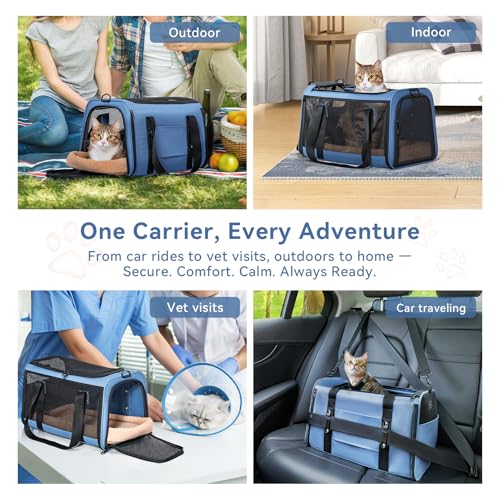 PETSFIT Soft-Sided Cat Carrier with Patented Safety Buckles, Lockable Zippers & Safety Tether,Escape-Resistant Travel Pet Carrier for Car Rides & Vet Visits, Airline Approved Under-Seat, Up to 12 lbs - color: Blue, size: Medium