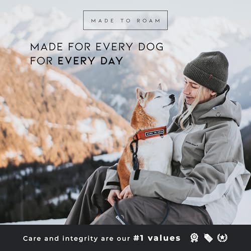 MADE TO ROAM Premium Everyday Dog Collar - Martingale Style No Pull Vegan Leather Collar, Heavy Duty and Lightweight for Small, Medium, Large Dogs (Utah Glow, Size 6) - color: Utah Glow, size: Size 6