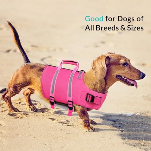 Queenmore Small Dog Life Jacket - Adjustable Reflective Lifesaver Vest with Back Zip, Rescue Handle, Leash Hook (Fuchsia S) - color: Fuchsia, size: Small