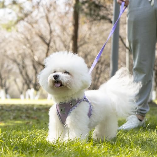Dog Harness and Leash Set, No Pull Soft Breathable Adjustable Reflective Step In Vest Harness for Puppy, Kitten, Cats - color: purple, size: xxs