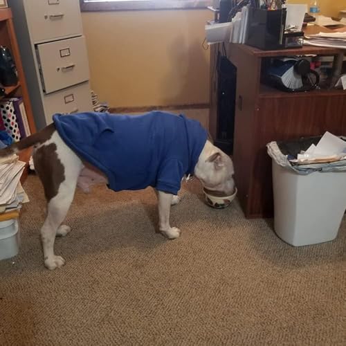 BINGPET Security Dog Hoodies Puppy Sweater Cold Weather Dog Coats Soft Brushed Fleece Pet Clothes Hooded Sweatshirt for Dog Cat - color: #1 Royal Blue(Security), size: X-Small (All Breed Sizes)