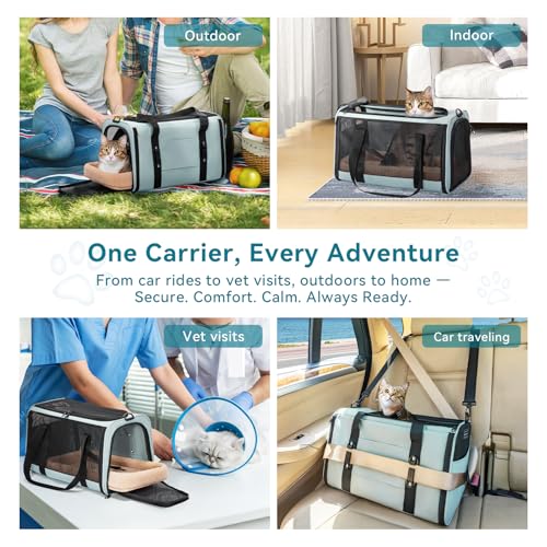 PETSFIT Soft-Sided Cat Carrier with Patented Safety Buckles, Lockable Zippers & Safety Tether,Escape-Resistant Travel Pet Carrier for Car Rides & Vet Visits, Airline Approved Under-Seat, Up to 12 lbs - color: Cyan blue, size: Medium