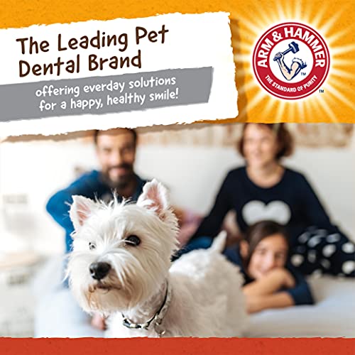 Arm & Hammer for Pets Super Treadz Mini Gorilla Dental Chew Toy for Dogs | Dog Dental Chew Toys Reduce Plaque & Tartar Buildup Without Brushing | for Dogs up to 25 Lbs, Small (1 Count) - size: Small (Pack of 1), style: Gorilla