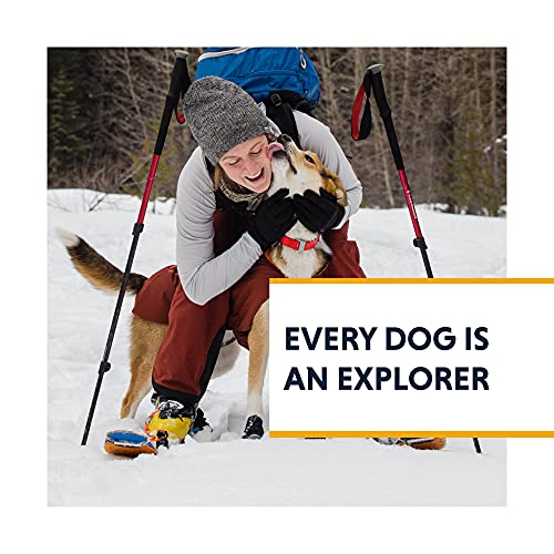 Ruffwear, Confluence Dog Collar, Waterproof Heavy Duty Quick Release Buckle, Odor-Resistant Easy Clean Adjustable TPU Webbing with & Silent ID Attachment, Red Sumac, 20"-26" - color: Red Sumac, size: 20"-26"