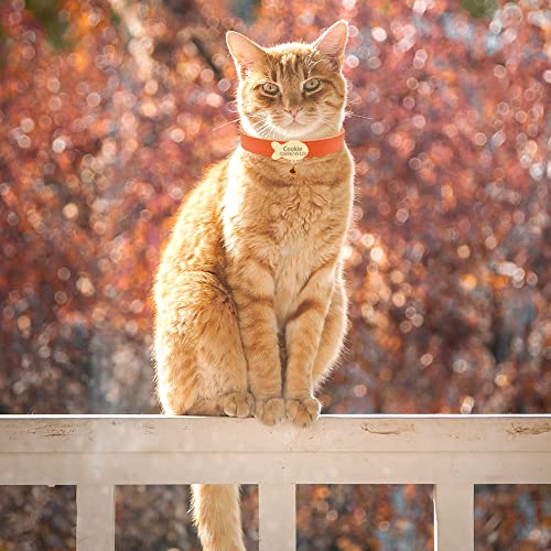Personalized Soft PU Leather Cat Collar with Nameplate,Custom Engraving Name & Phone Fish Shaped Slidable ID Tag Cat Collar with Bell,Cat Neck Strap for Kitty