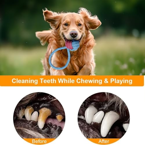 7 Pack Dog Toys for Teething, Entertainment, Puppy Chew Toys Pack with Cute Squeaky Toys,Durable Ropes Chew Toys