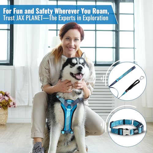 No-Pull Dog Harness with Handle - Escape Proof, Anti-Pulling, Grip Control, Multi-Angle Reflective for Safe Walks & Training, Easy On & Off, Metal Buckle–Pet Harness, Medium/Large Dogs- M- Blue - color: Blue, size: M:Neck16.9"~23.6",Chest18.9"-27.6"