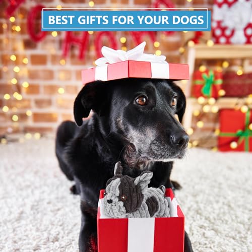Letsmeet Dog Toys Plush Interactive Dog Toy with Crinkle Paper and Squeaker, Reduce Boredom and Anxiety, Cute Dog for Small Medium Large Dogs, Grey - style: French Fight