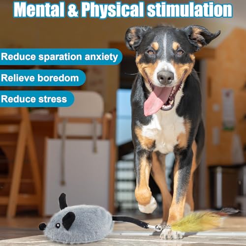 Interactive Dog Toys with Phone App, 2 Modes Remote Control Dog Toy, Dog Mouse Toy with Realistic Sound & Replacement Tails, Automatic Dog Toy for Small Medium Large Dogs, Squeaky Dog Toys Gray - color: Gray App Control