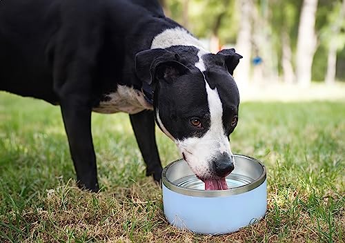 Alpine Set of 2 Stainless Steel Dog Bowls, Non Slip, Metal Pet Bowl for Food and Water, Double Walled Insulated, Rustproof, Dishwasher Safe- 32 Ounces - Black/White (AB) - color: Black/White, size: 32 oz