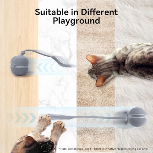 Cheerble 2 in 1 Interactive Cat Toys for Indoor Cats - Wicked Ball Duo2 Automatic Cat Toy, Dual Interchangeable Shells, Electric Cat Toy Ball with Chirping Sounds,Rechargeable Moving Kitten Toys, Blue - color: Blue