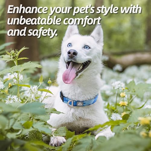 Soft Padded Dog Collar, Neck 9’’-14’’, Adjustable Heavy Duty Collar with 3M Reflective Logo for Small Dogs, Camo Blue, S - color: Camo Blue, size: S (Neck 9''– 14'')