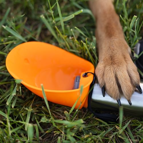 Messy Mutts Double Wall Vacuum Insulated Stainless Steel Travel Water Bottle with Silicone Flip Up Bowl | Pet Travel Necessity | Camping, Hiking, Walking Accessory | 20 oz / 600mL | Blue