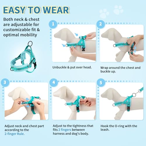 SlowTon No Pull Small Dog Harness and Leash Set, Puppy Soft Vest Harness Neck & Chest Adjustable, Reflective Lightweight Harness & Anti-Twist Pet Lead Combo for Small Medium Dogs(BL-Front Clip,XXS) - color: B-Teal - With Front Clip, size: XX-Small