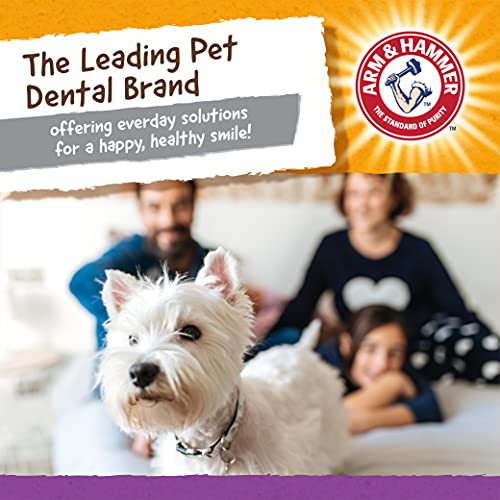 Arm and Hammer for Pets Super Treadz Mini Gator Dental Chew Toy for Dogs - Reduces Plaque and Tartar Without Brushing, Baking Soda Infused, Dishwasher Safe, Dogs Up to 25 Lbs - size: Small (Pack of 1), style: Gator