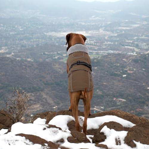 Lelepet Warm Dog Coats for Medium Dogs Waterproof Dog Jacket Reflective Pet Fleece Vest Windproof Cold Weather Coats with Adjustable Buckle & Leash Hole, Brown, M - color: Brown, size: M