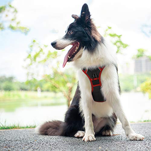 PHOEPET 2019 Upgraded No Pull Dog Harness, Reflective Adjustable Vest, with a Training Handle + 2 Metal Leash Hooks+ 3 Snap Buckles +4 Slide Buckles(XS, Black) - color: Black, size: Extra Small