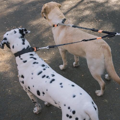 Double Dog Leash, No Tangle 360° Swivel, Adjustable Two Padded Handles, Double Clip Dog Leash Coupler Splitter Breeds (Brown, 4/5'' x 0.9 FT, Ultralight) - color: Brown, size: Pro M/L