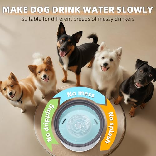Decflow 1.2Gallon Dog Water Bowl No Spill, 4.5L Large Capacity Spill Proof Dog Bowls with Transparent Floating Disk, No Splash Slow Drinking Water Bowls for Sloppy Messy Drinkers (Gray) - color: C-Gray