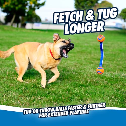 Chuckit! Ultra Duo Tug Dog Toy - Two Ultra Balls on a Durable Nylon Cord Handle - Fetch and Tug-of-War Toy for Dogs - Size Medium - For Breeds 20-60 lbs - 2.5-inch Diameter - Orange and Blue - size: Medium, style: Ultra Duo Tug