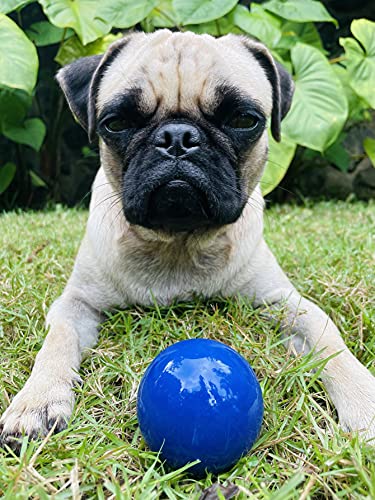 SuperChewer Tough Dog Ball Toy | Lifetime Replacement | Strong Natural Rubber | Great Dog Fetch Toy | Chew Toys for Dogs | Ultra Durable Chew Toys for Aggressive Chewers | Large Breed Tested - size: Small - 2 Inch / 6 oz