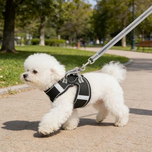 Small Dog Harness and Leash Set, Step-in Puppy Vest with Breathable Soft Padded Mesh, Walking Reflective Pet Harness for Small Medium Dogs - color: Black, size: Medium (Chest: 12" - 15.5")