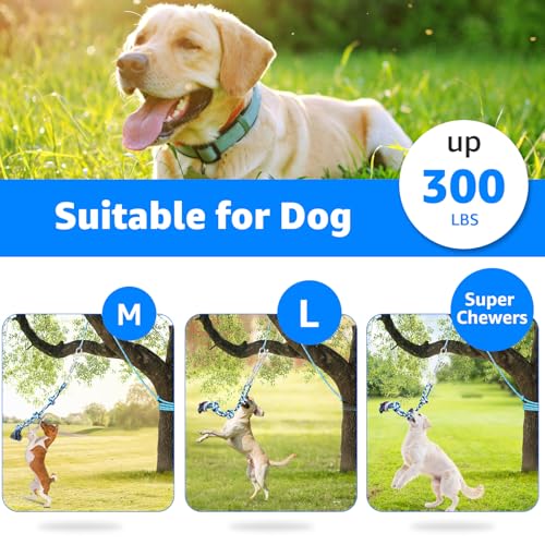 LOOBANI Spring Pole Toy for Pitbull: Bungee Tug of War Toys for Small Large Aggressive Chewers Dogs to Exercise & Muscle Building & Bite Training,Outdoor Heavy Duty Bungee Solo Tree Tugger Hanging Toy - color: Blue+White