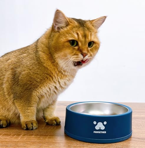 PAWGETHERยฎ Stainless Steel Dog Bowls, Dog Food and Water Bowl Non-Slip Easy to Clean Dishwasher Safe for Puppy Small Medium Dogs Cats Navy Blue 34oz - color: Navy (34oz)