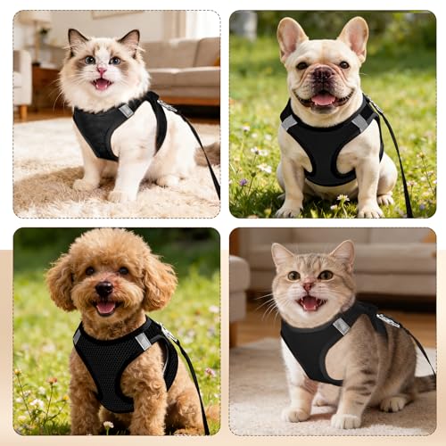 Pet Harness No Pull with Breathable Mesh, Comfort-Focused Dog and Cat Harness Featuring Hook & Loop Fastener, Snap Buckle and Double D-Rings, 0.55FIT, Black, M - color: Black, size: M