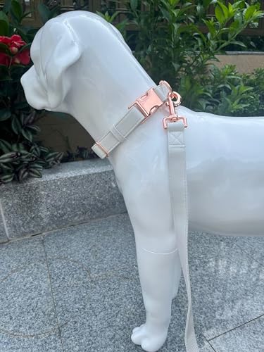 Dog Collar and Leash Set.Soft and Easy to Clean Vegan Leather with Rose Gold Metal Buckle for Small Medium Large Dogs (Off-White, XS(8"-12")) - color: Off-White, size: XS