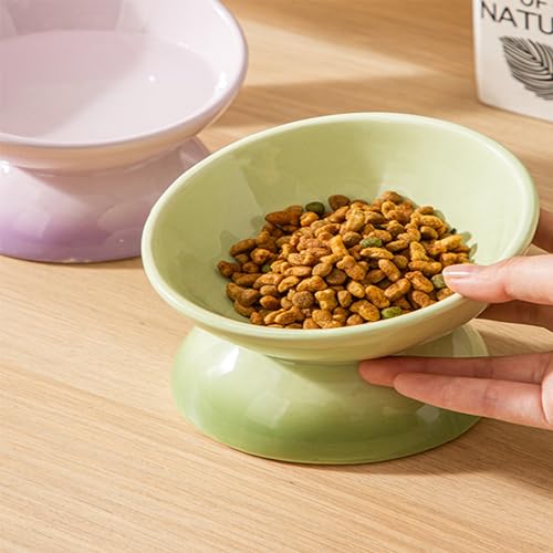 Cute Ceramic Tilted Food Bowls for Indoor Cats Cat Bowl Elevated Cat Bowls Whisker Friendly 6.1 Inch Wide 15° Raised Kitten Supplies Dishwasher and Microwave Safe Purple Cats Water Bowl - color: Purple Ceramic Elevated Cat Bowl