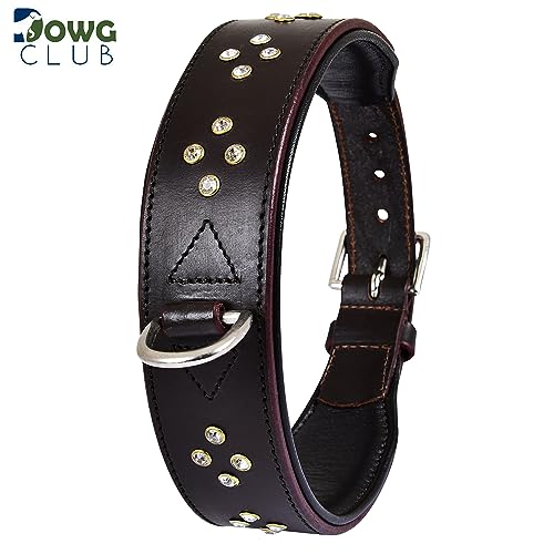Genuine Leather ‘Cupola’ Series Dog Collar | Rhinestone | Soft, Cushion Padding, Handmade | Best for Medium, Large, XL Breeds (M (Neck Size 14.5"-18.5"), Silver Rhinestones, Crimpson) - color: Silver Rhinestones, Crimpson, size: M (Neck Size 14.5"-18.5")