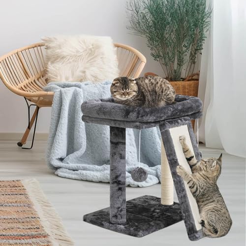 SYANDLVY Small Cat Tree with Perch, Cat Scratching Board for Indoor Cats, Scratching Post with 2 Dangling Balls, Great for Kittens (Smoky Grey) - color: Smoky Grey