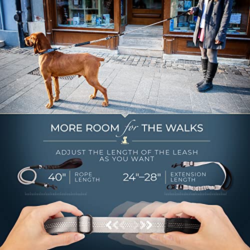 SparklyPets - Heavy Duty Bungee Rope Leash for Large and Medium Dogs - No Pull, Shock Absorber Long Dog Training Lead - No Slip Reflective Line for Outside (5.5 Ft Bungee Leash) - color: Adjustable Premium Silver
