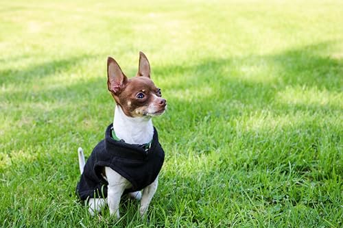 JACKO & CO - Fleece Vest Dog Sweater with Leash Ring - Soft, Warm & Lightweight Pullover Coat for Small & Medium Dogs, Puppies & Cats - Cozy Fall/Winter/Spring Pet Jacket (Black, XS 2-4lbs) - color: Black, size: XS (2-4lbs)