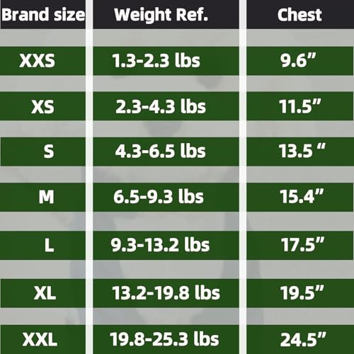 FabriCastle Dog Hoodie Sweater for Small Dogs Boy and Girl, Dog Clothes XS XXS Puppy Sweatshirt, Pet Outfit, Cat Clothing Super Soft Warm Snap On Closure (Light Grey, XX-Small) - color: Light grey, size: XX-Small