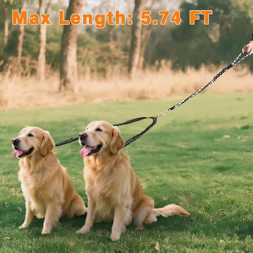 Double Dog Leash – Tangle-Free Dual Leash with 360° Swivel, Shock Absorbing Bungee, Reflective Stitching & Hand-Braided Main Rope (Supports Up to 440 lbs, Black) - color: Black