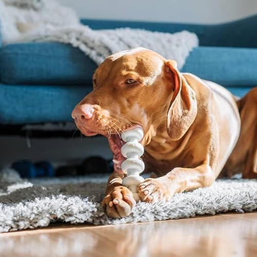 Spunky Pup Clean Earth Recycled Stick | Made in USA | Made from 100% Recycled Water Bottles, Gray - style: Stick