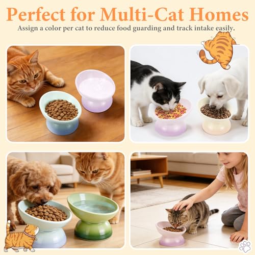 Elevated Cat Food Bowl 4 Pack 5 Oz Ceramic Raised Tilted Water Dishes, 15° Tilt Anti Vomiting, Protect Pets' Spines Bowls for Small Dog, Fat Faced Cat, Kitten