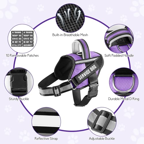 Service Dog Harness and Leash Set, XS, Purple, with 10 Patches, Reflective, for Small Dogs - color: Purple, size: XS