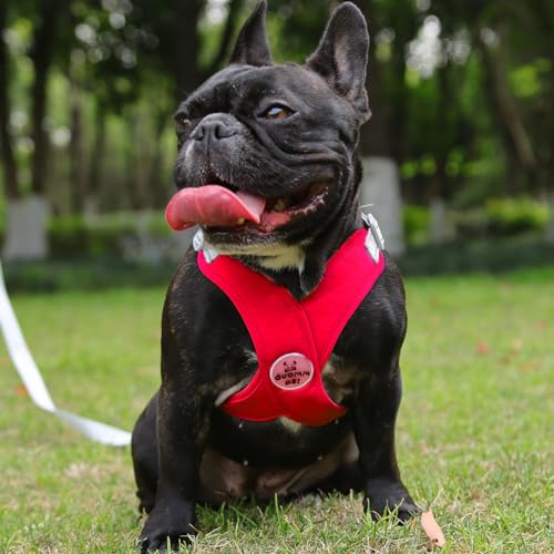Dog Harness Pet X Frame No Pull Step-in Harnesses with Leash Set, Adjustable Reflective Choke Free Puppy with Padded Vest for Small, Medium Dogs and Cats Walking Training - color: Red, size: Medium