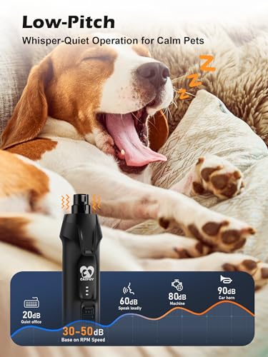 Casfuy 6-Speed Dog Nail Grinder – 50%+ Boost Power Dog Nail Trimmers Quiet with Dust Cap & 2 LED Lights & 2000mAh Battery & 4.8V Motor Electric Pet Toenail File Tool for Large Medium Small Dogs Cats - color: Black