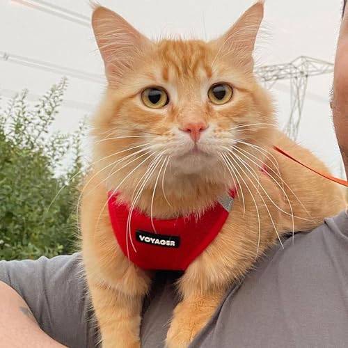 Best Pet Supplies Voyager Step-in Air Harness - All Weather Mesh, Reflective, No Pull Harness for Dogs, Cats - Secure with Hook & Loop Fastener, Buckle, Double D-Rings - Red, XS - size: Cat XS (Chest 13.5 - 15")