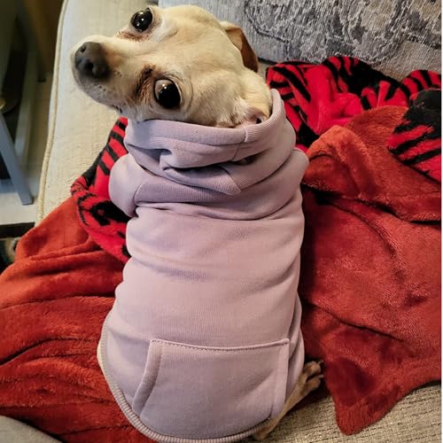 Jecikelon Winter Dog Hoodie Sweatshirts with Pockets Warm Dog Clothes for Small Dogs Chihuahua Coat Clothing Puppy Cat Custume (Purple, XX-Small) - color: Purple, size: XX-Small