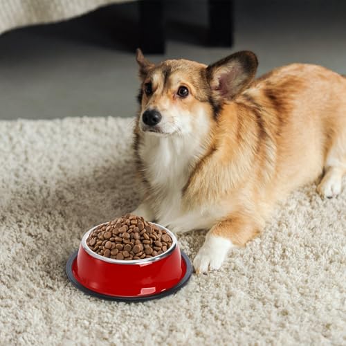 6 Pack Stainless Steel Cat Bowl, 6 Oz Mini Non-Slip Puppy Dog Feeding Bowl with Rubber Base, Small Reusable Shallow Pet Feeder Water Food Dishes for Breeds Under 4 LB (XS)