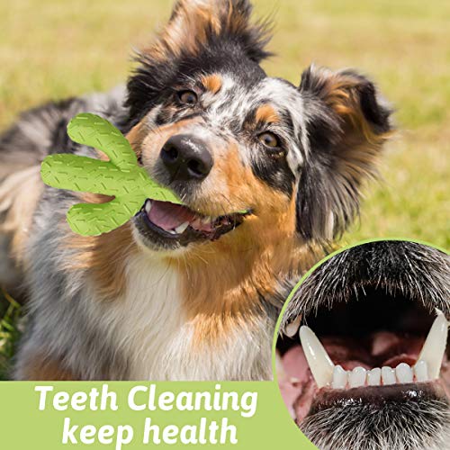 MewaJump Dog Chew Toys, Durable Rubber Dog Toys for Aggressive Chewers, Cactus Tough Toys for Training and Cleaning Teeth, Interactive Dog Toys for Medium/Large Dog - color: Green Cactus